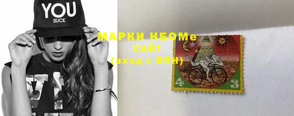 мет Алексин