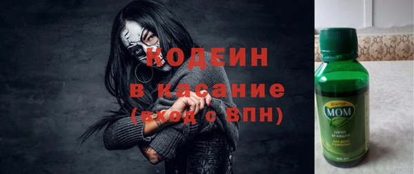 мет Алексин