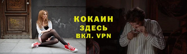 мет Алексин