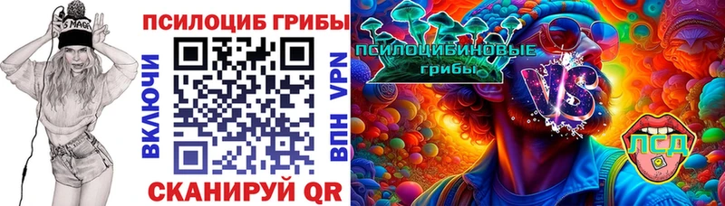 Галлюциногенные грибы Psilocybine cubensis  Сафоново 